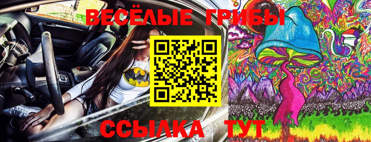 купить наркотик  Галлюциногенные грибы мицелий  Вход с VPN  Галлюциногенные грибы ЛСД  Городец 